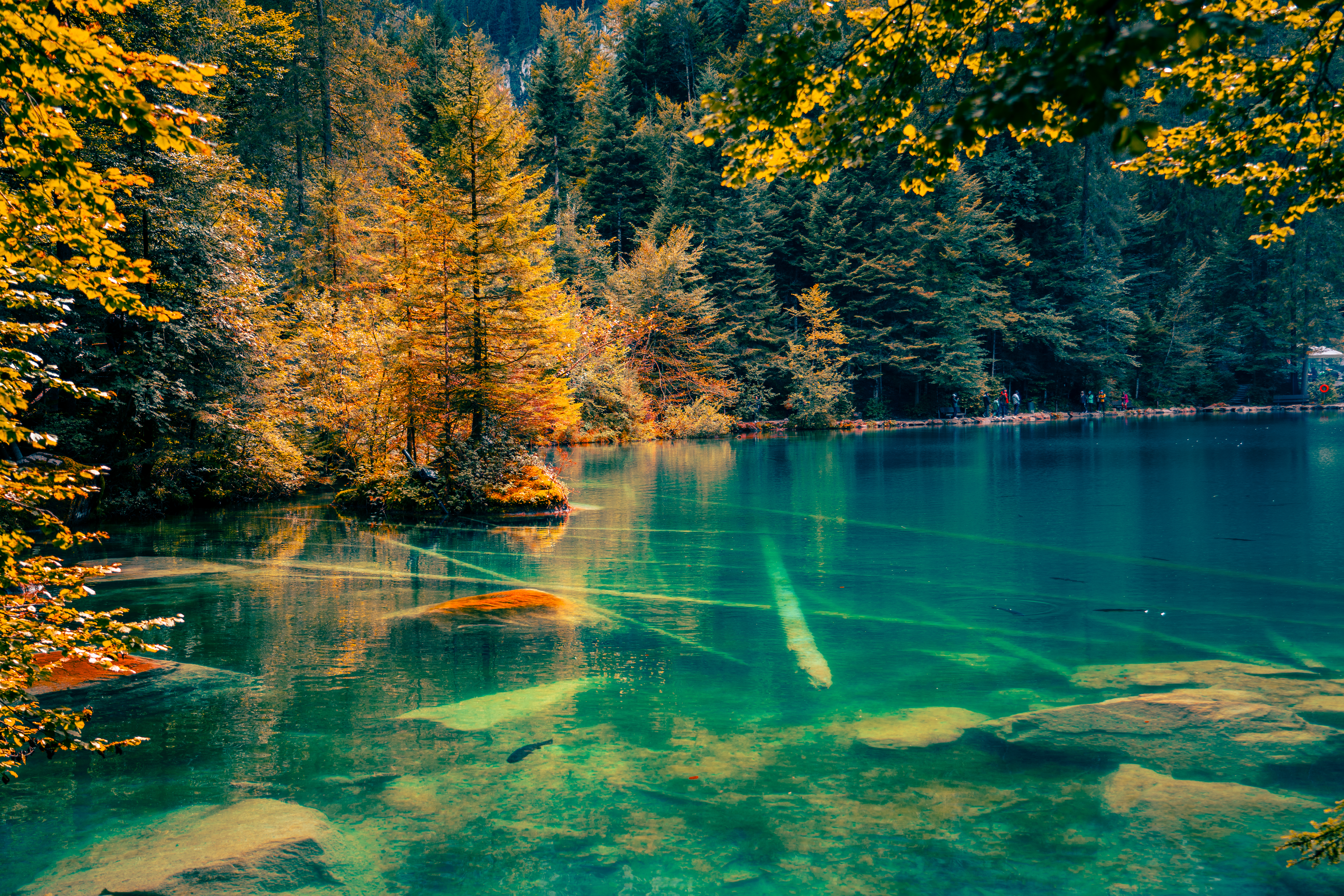 Einblick Bild