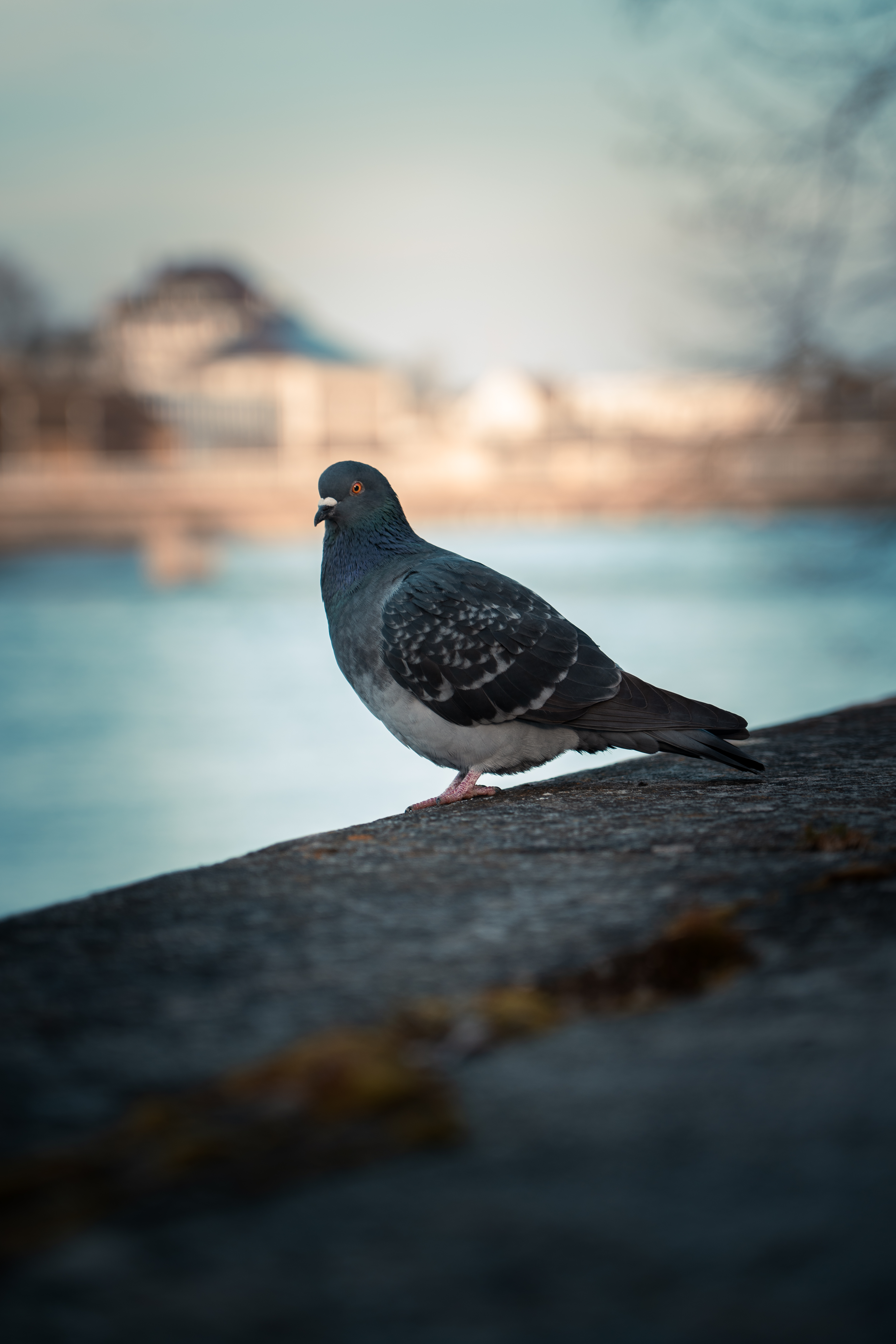 Einblick Bild